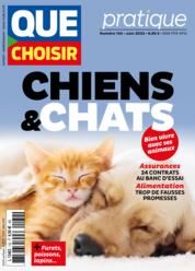 Chiens & chats