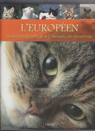 L'Européen, le british shorthair, l'american shorthair