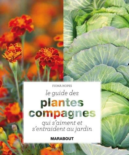 Le Guide des plantes compagnes qui s'aiment et s'entraident au jardin