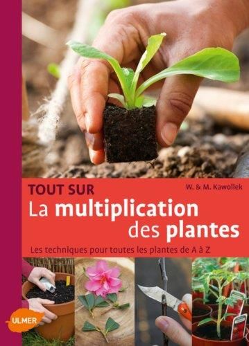 Tout sur la multiplication des plantes